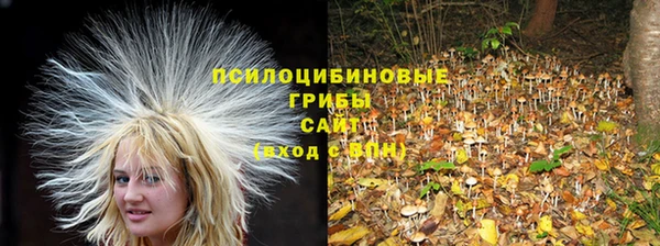 амфетамин Елабуга
