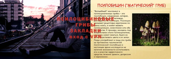 мяу мяу кристалл Ельня