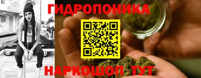 крисы Ливны